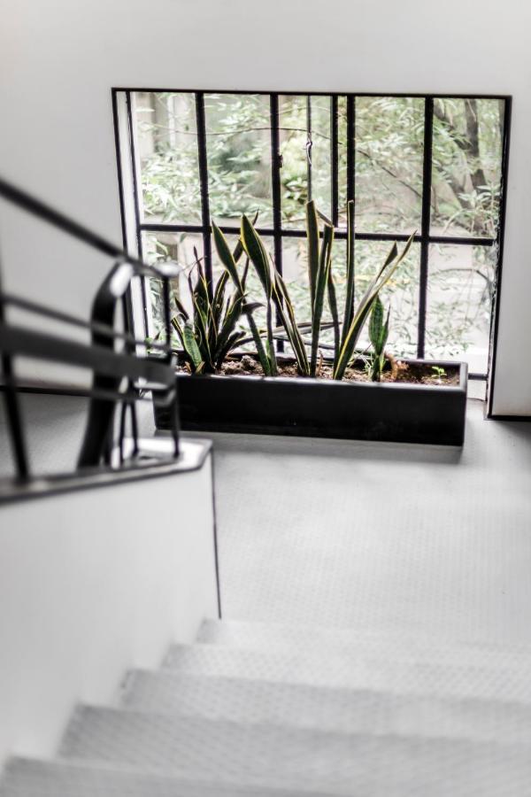Hotel Itto Condesa Μεξικό Εξωτερικό φωτογραφία